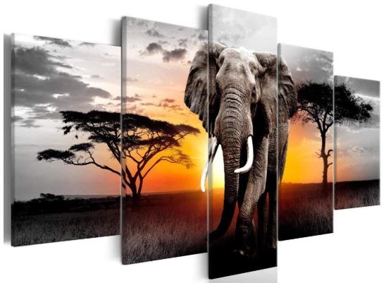 Elephant Animals Canvas Wall Art Black and White Sunrise Landscape-image