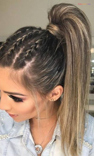 Braided Pony Hairstyles