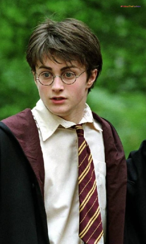 Dress Like Harry Potter