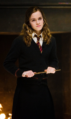 Dress Like Hermione Granger