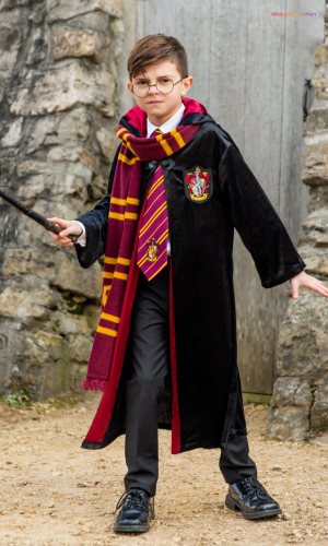 Harry Potter Costume