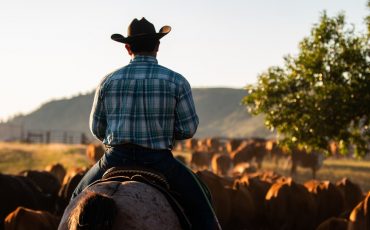 Cowboy Hat