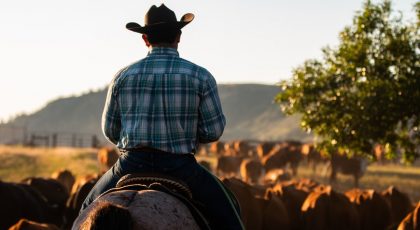 Cowboy Hat