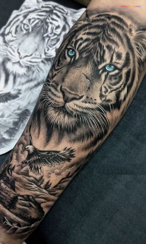 Tiger Forearm Tattoo