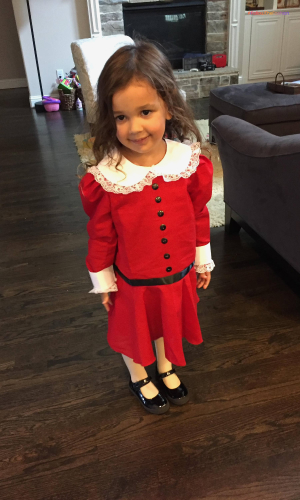 Veruca Salt Costume